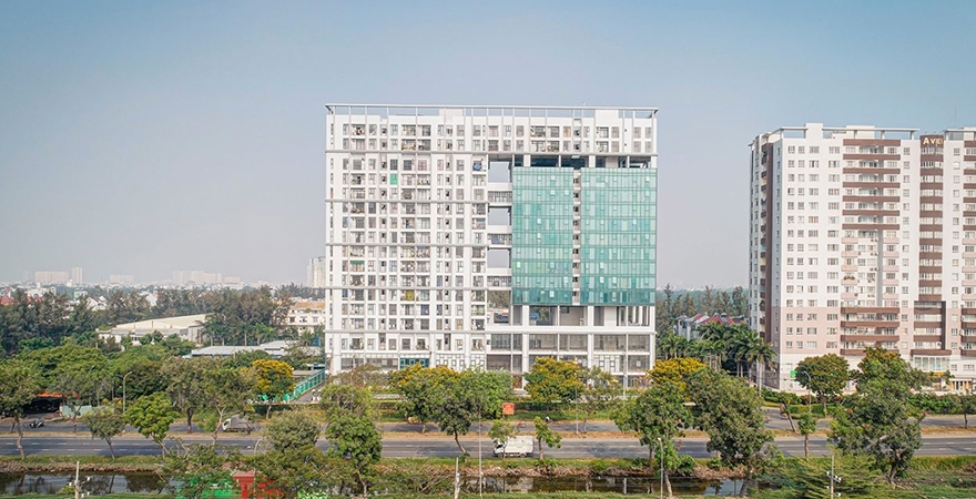 Calla Garden Calla Garden