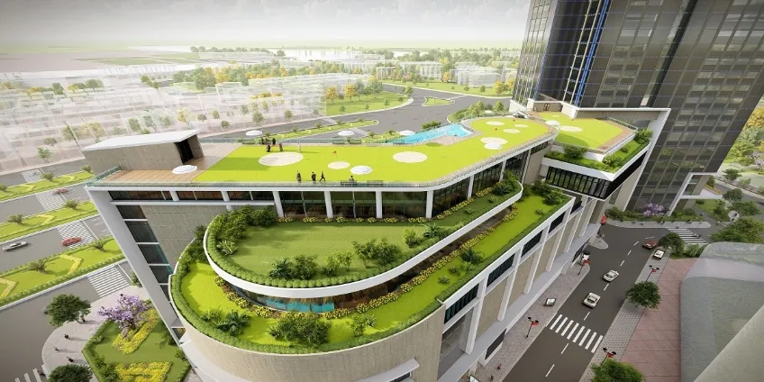 Sân golf